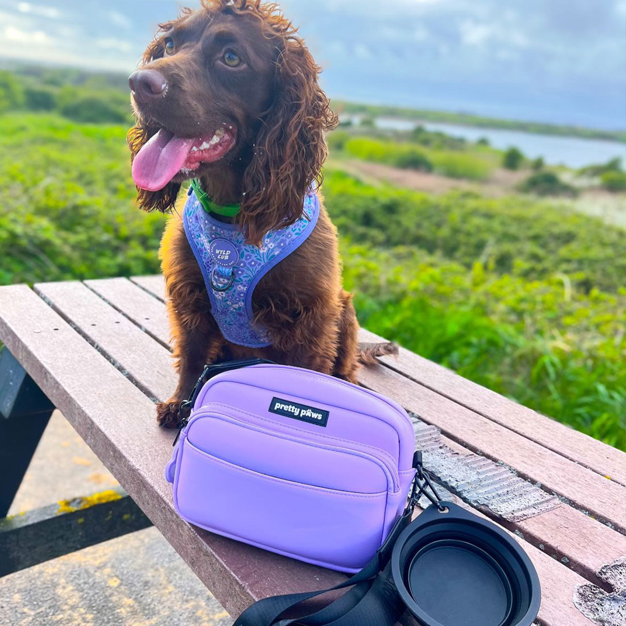 NEIGHBORHOOD】DOG WALKING SHOULDER BAG