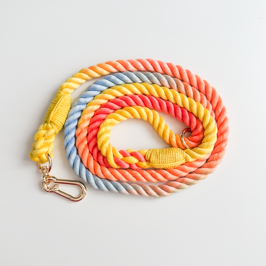 5ft Ombre Rope Lead