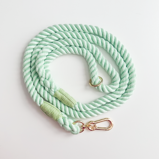 5ft Pastel Green Rope Lead