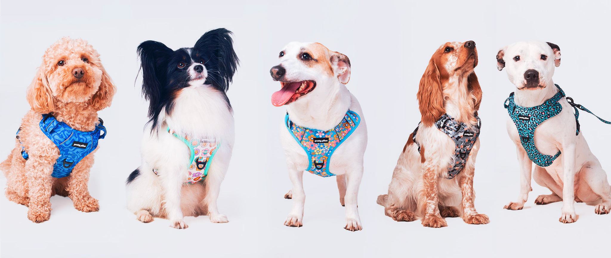 Pretty Paws Dog Accessories